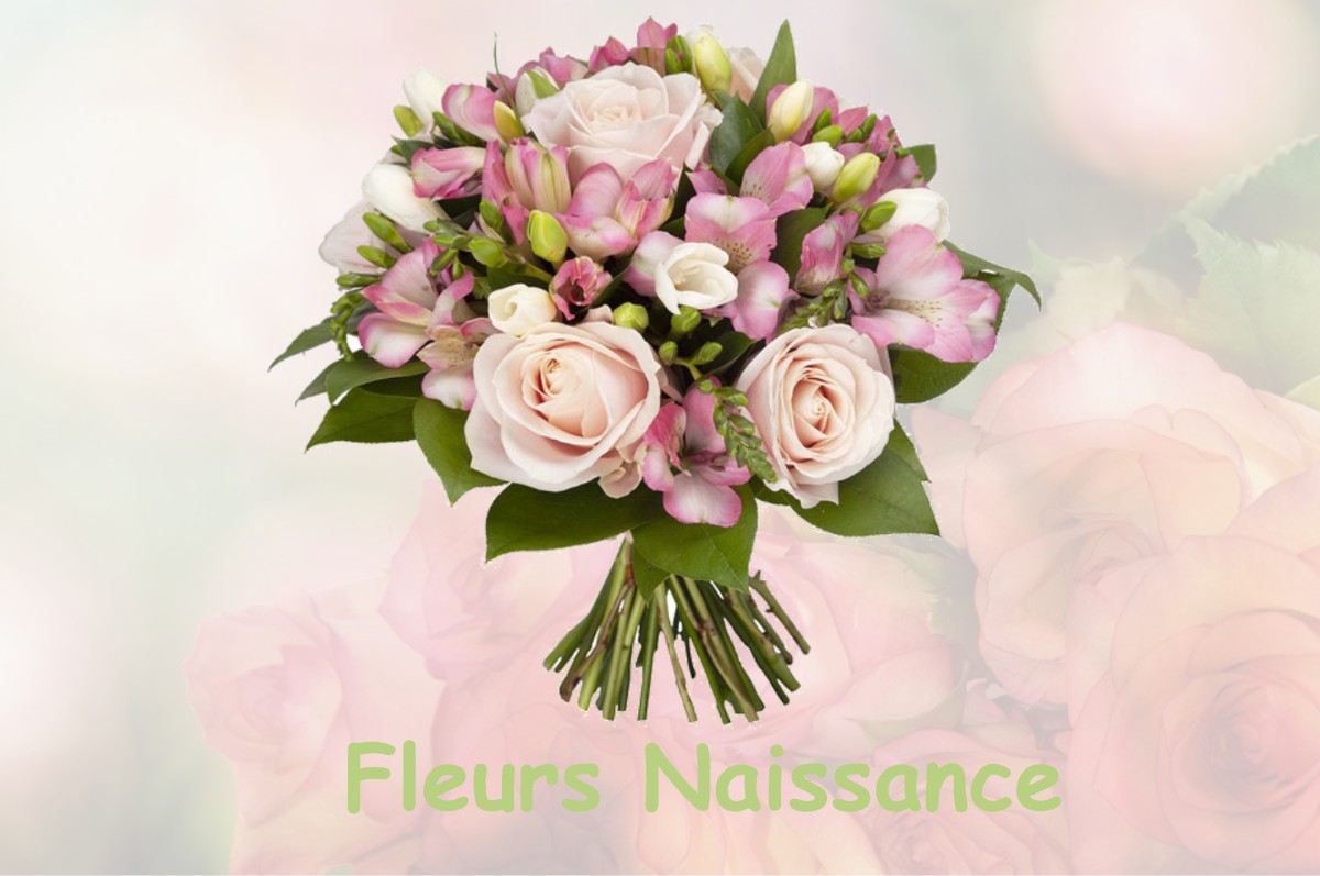 fleurs naissance BOIS-NORMAND-PRES-LYRE