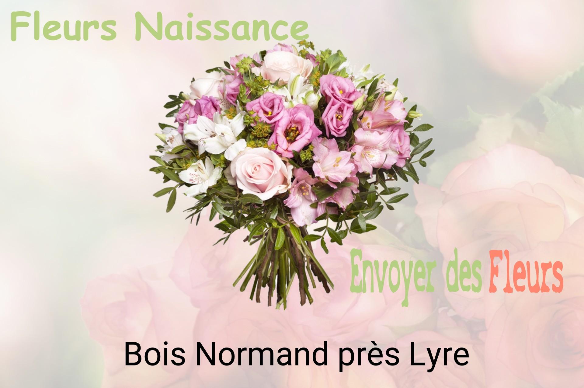 Bouquet de fleurs de naissance livré à Bois-Normand-près-Lyre