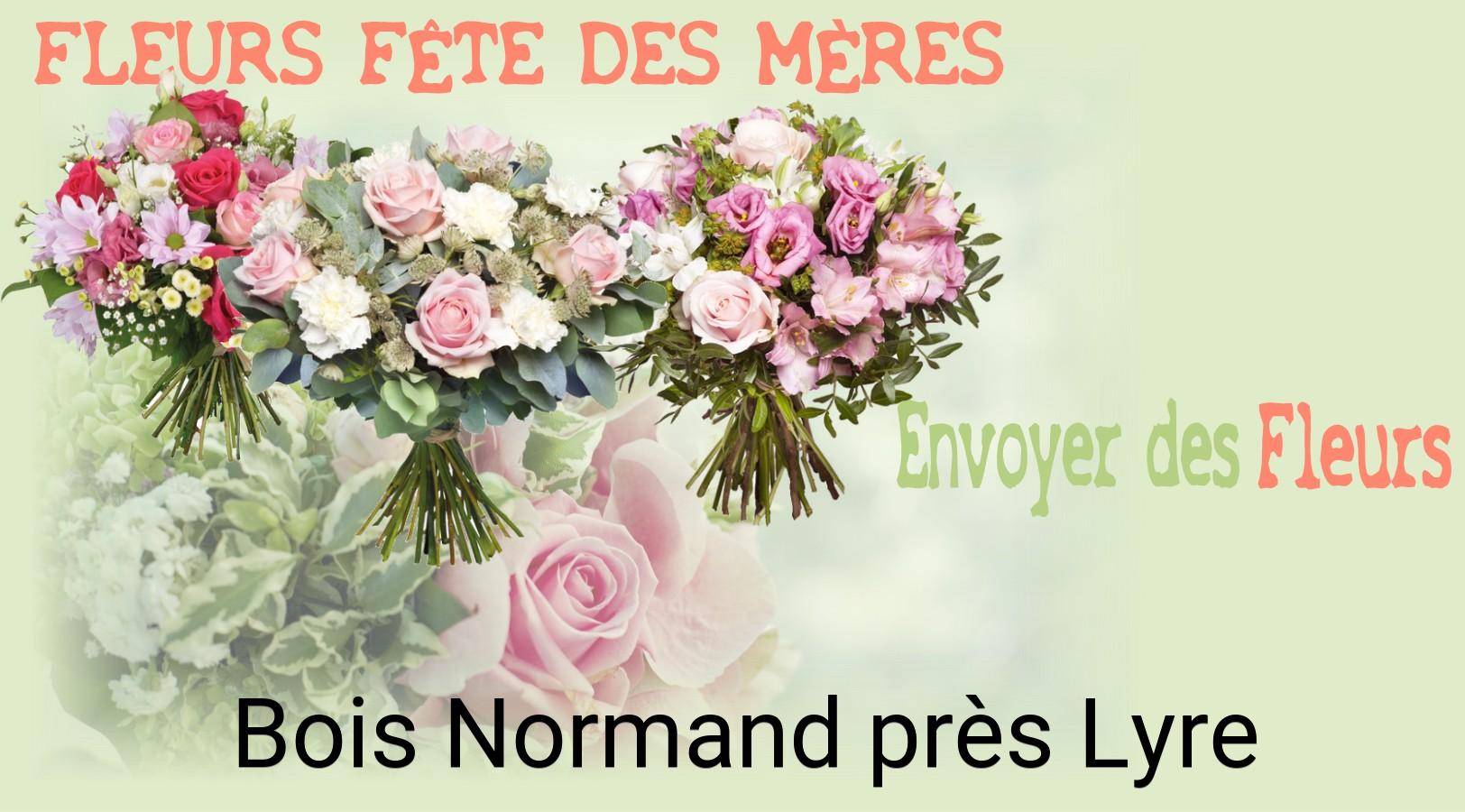 Bouquet de Fête des Mères livré à Bois-Normand-près-Lyre